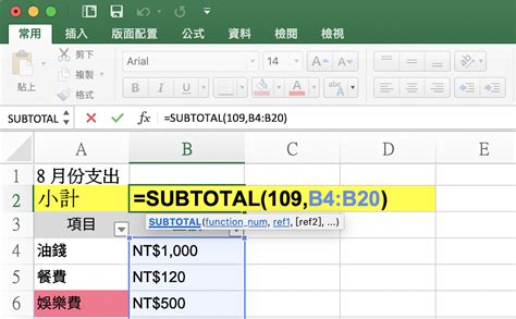 格總|Excel如何加總「篩選過」的數值，不計算隱藏的儲存。